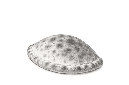 Pizza Calzone