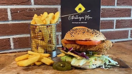 Hot & Spicy chicken burger