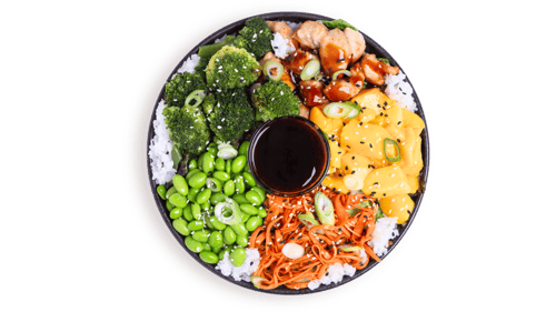 Teriyaki Chicken Bowl