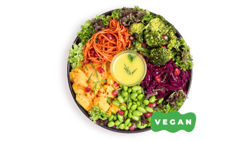 Rainbow Salad