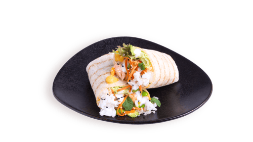 Salmon Avocado Wrap