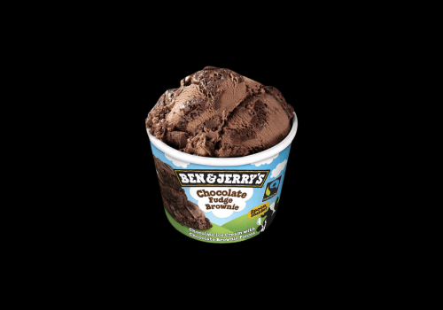 Ben & Jerrys Chocolate Fudge Brownie 100ml