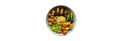Beef Bowl (Vegan)