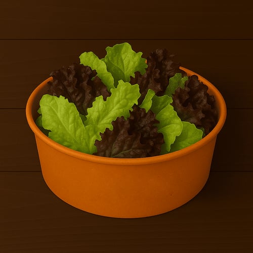 Grüner Blattsalat
