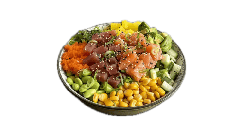 Salmon Tuna bowl