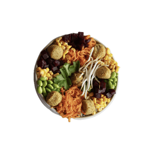 Vegan Bowl