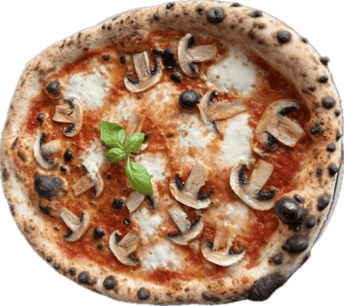 Pizza Funghi