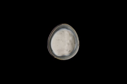 Joghurt-Dressing