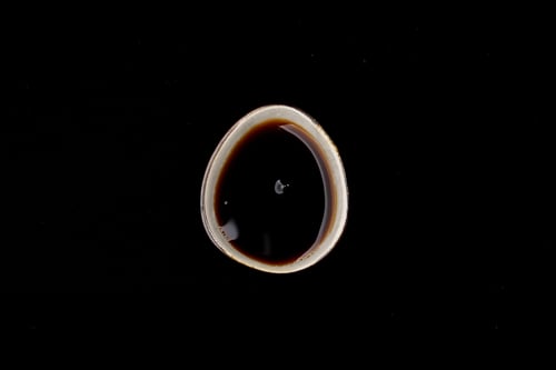 Teriyaki-Sauce