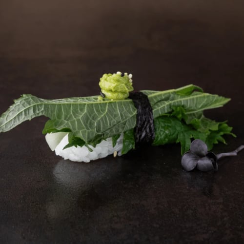 Sisho Gurke Nigiri
