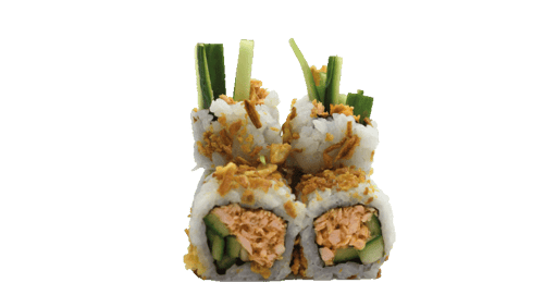 U6) Salmon Crunch