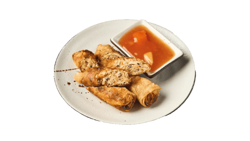 S9) Frühlingsrollen