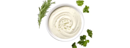 Ranchsaus