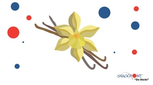 Milkshake vanille small