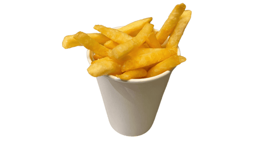 Regular Fries