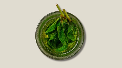 Fresh mint tea