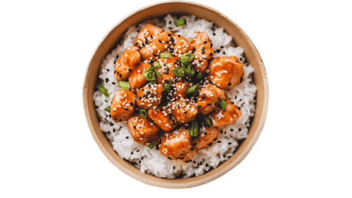Orange Chicken Rice