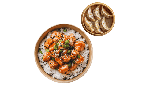 Orange Chicken Rice + Gyoza