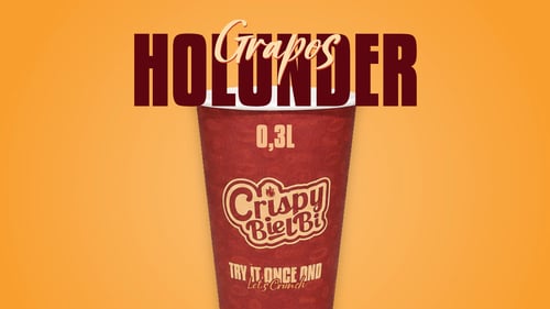 Holunderschorle 0,3l