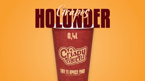 Holunderschorle 0,4l