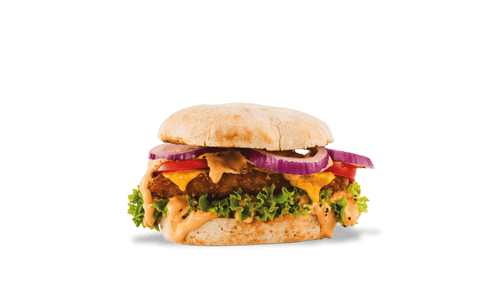 THE HOMESTYLE CHICKEN'Z