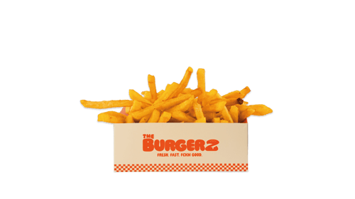 CLASSIC FRIES