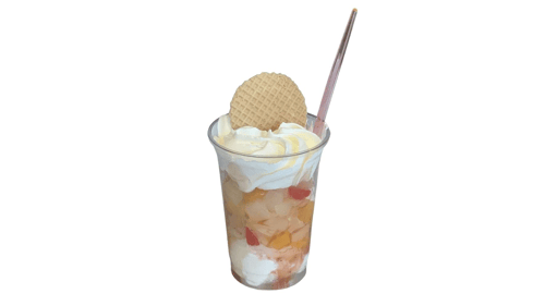 Vruchtensorbet met 2 bollen ijs 