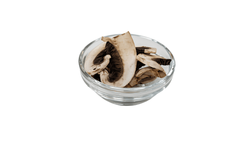 Champignon