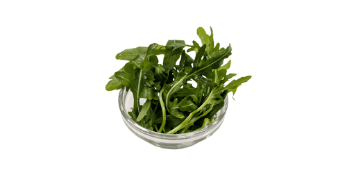 Rucola