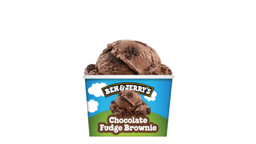 Ben & Jerry's Chocolate Fudge Brownie 100ml