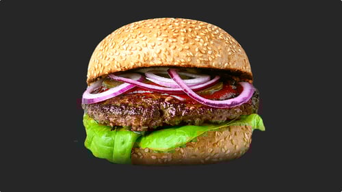 Hamburger Einzeln