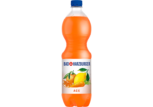 Bad Harzburger ACE PETC 12x1,00l