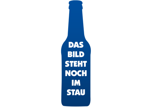 Auricher Multivitaminsaft  12x0,2l