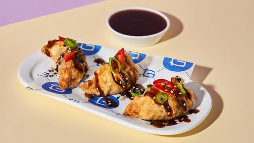 Vegan Fried Mandu Veggies 'n Tofu
