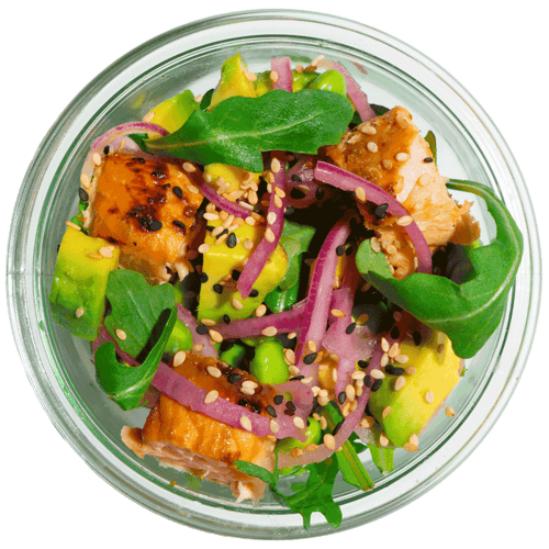 Tokyo Drift Salmon Mini Bowl Set (3Stk.)
