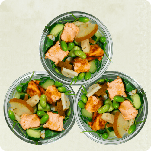 Tokyo Drift Salmon Mini Bowl Set (3Stk.)