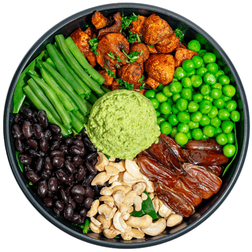 Plant Protein