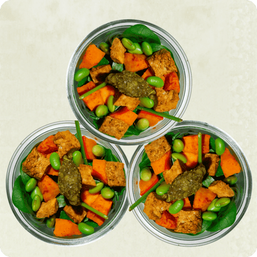Green Protein Tofu Mini Bowl Set (3Stk.)