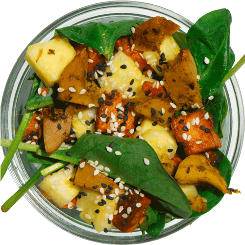 Chicken Babo Planted Mini Bowl Set (3Stk.)