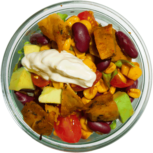Burrito Buddy Planted Mini Bowl Set (3Stk.)