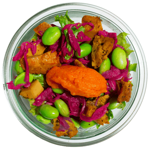 Protein Power Mini Bowl Set (3Stk.)
