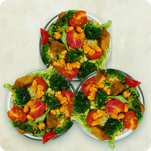 Chickeria Planted Mini Bowl Set (3Stk.)