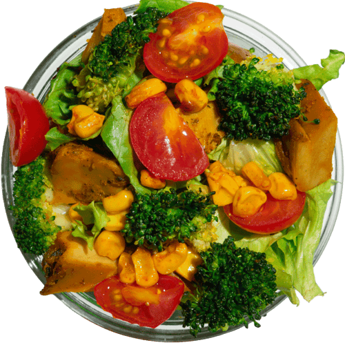 Chickeria Planted Mini Bowl Set (3Stk.)