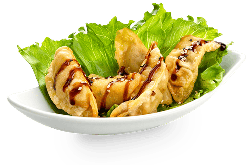 Gyoza Ente - 5 Stück