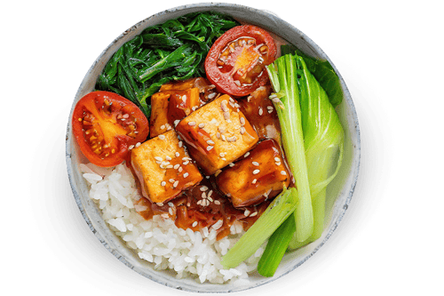 Donburi Tofu (vegan)