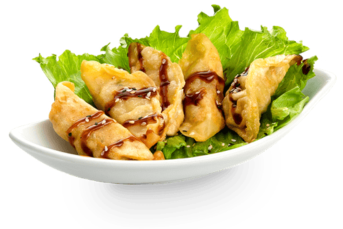 Gyoza Chicken - 5 Stück