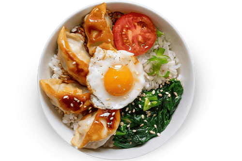 Donburi Wan-Tan