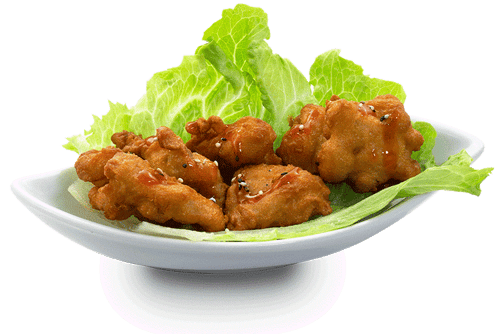 Japanese fried Chicken Box - 5 Stück
