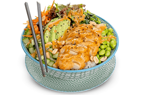 Yoko Poke Bowl Peanut Chicken