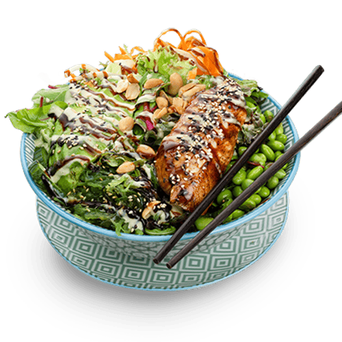 Yoko Poke Bowl Chicken Teriyaki